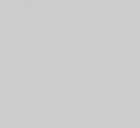 Neutral Grey