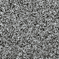 Cookies & Cream/Dark Grey Base/N64